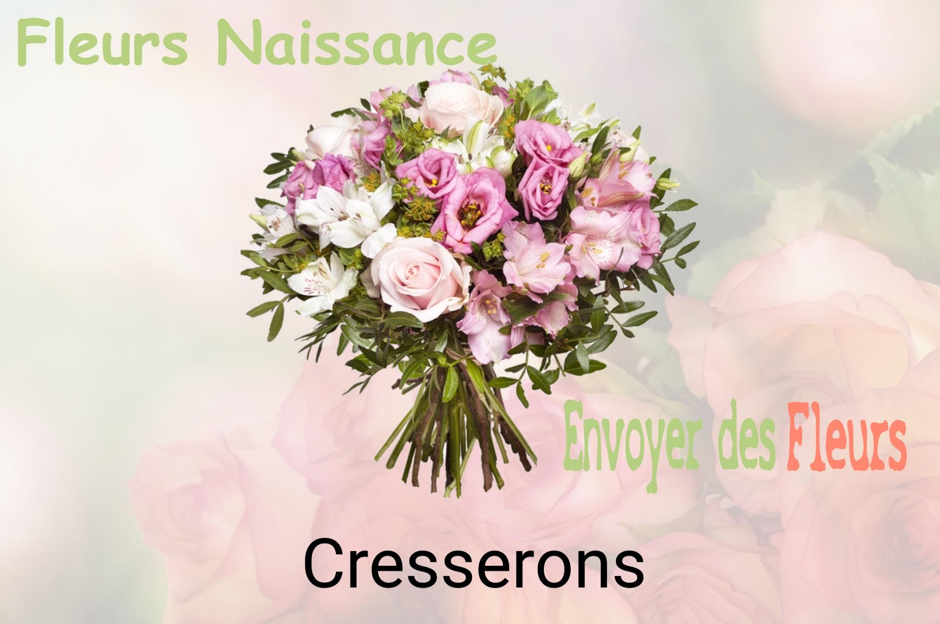 Bouquet de fleurs de naissance livré à Cresserons