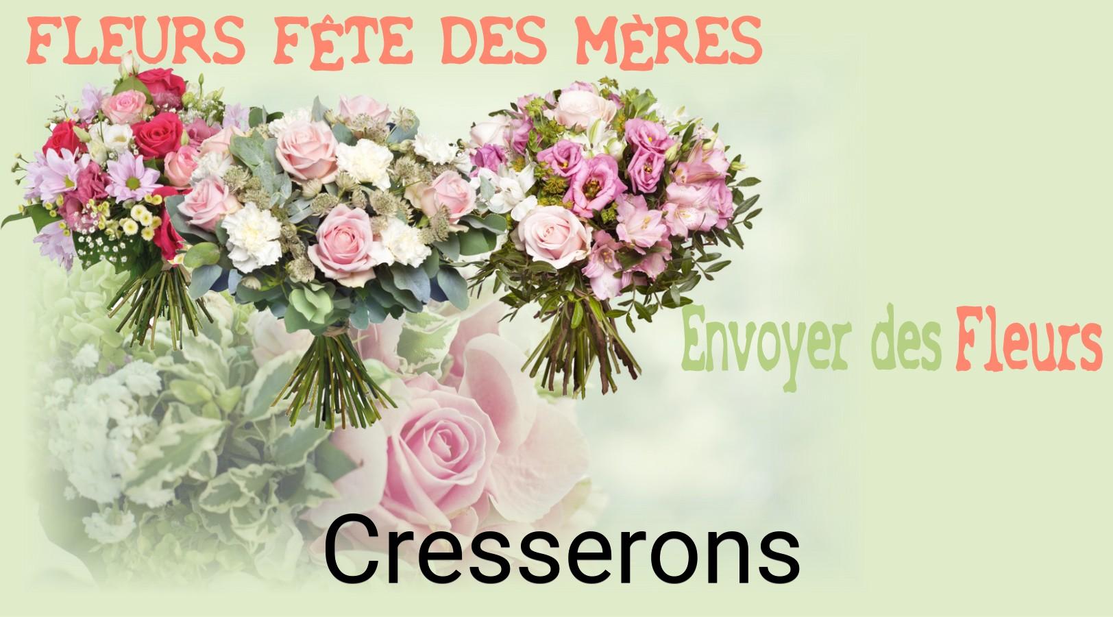 Bouquet de Fête des Mères livré à Cresserons